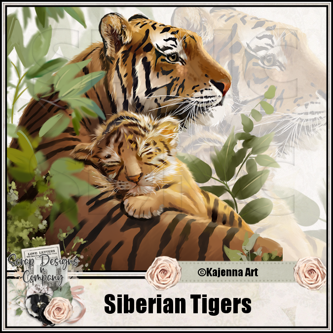 (image for) Siberian Tigers