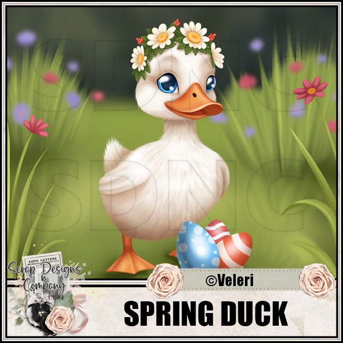 (image for) Spring duck