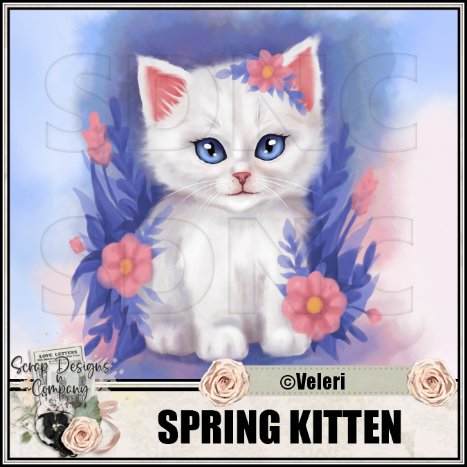 (image for) Spring kitten