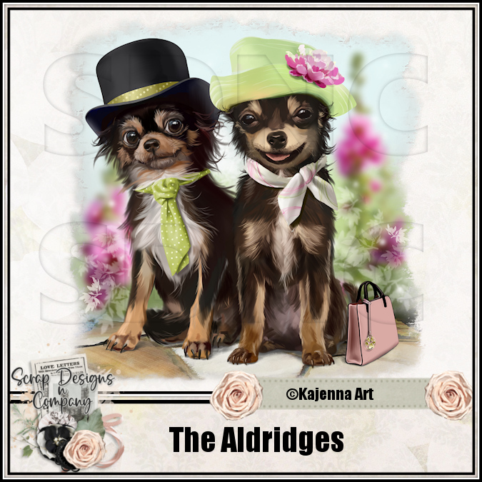 (image for) The Aldridges