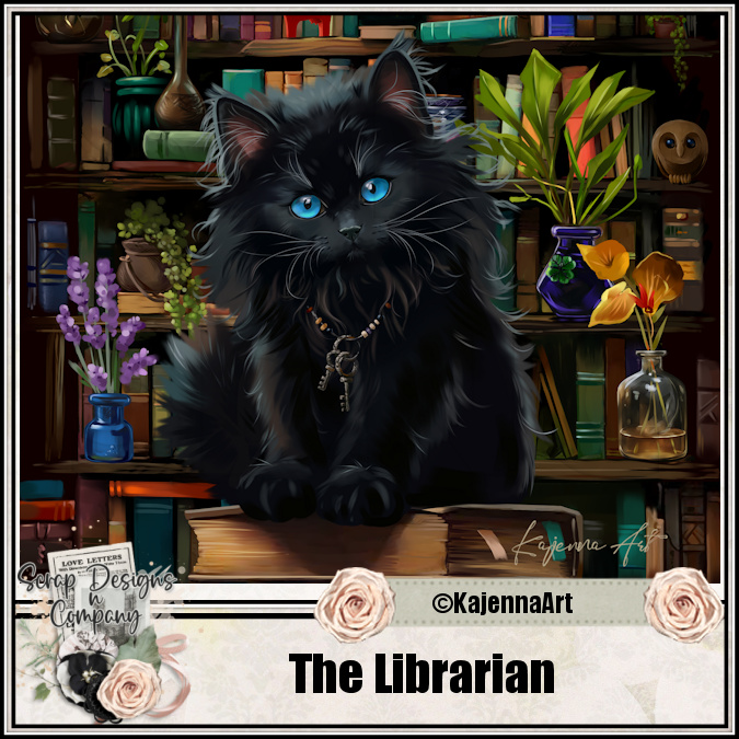(image for) The Librarian