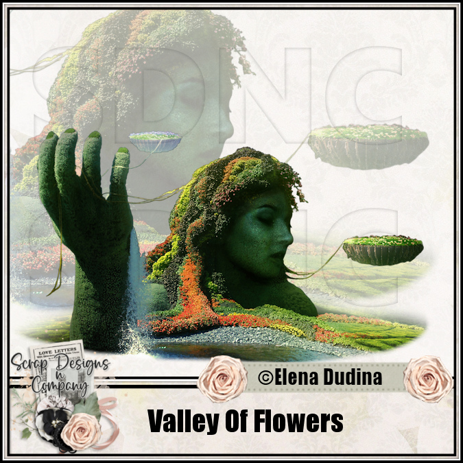 (image for) Valley Of Flowers