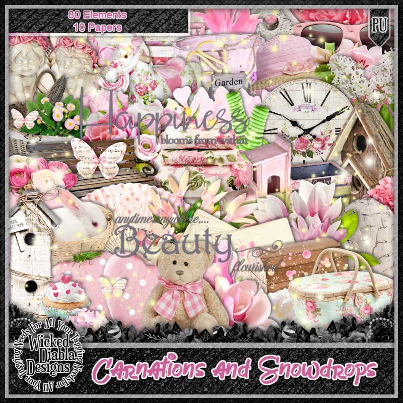 (image for) Carnations And Snowdrops