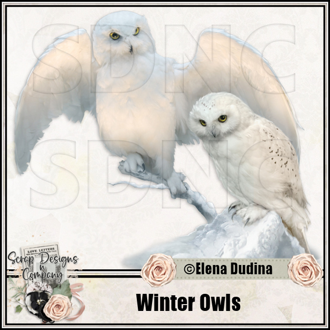(image for) Winter Owls