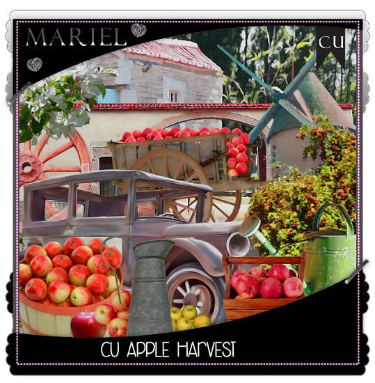 (image for) CU Apple Harvest